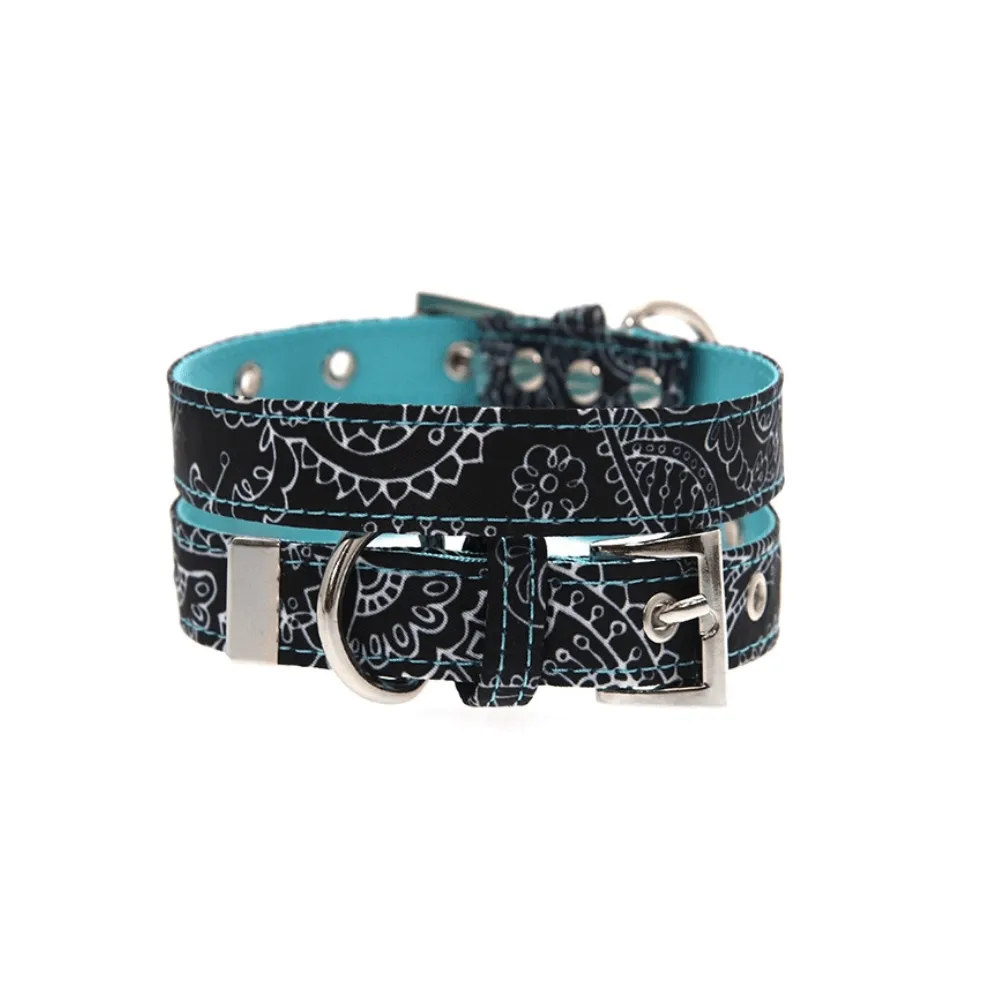 Black and Blue Paisley Collar