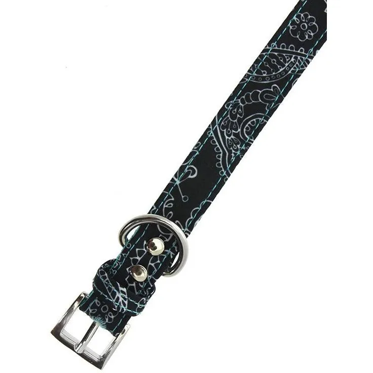 Black and Blue Paisley Collar