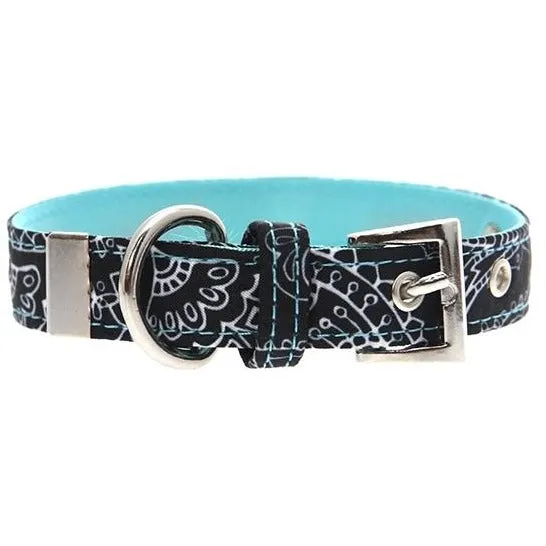 Black and Blue Paisley Collar