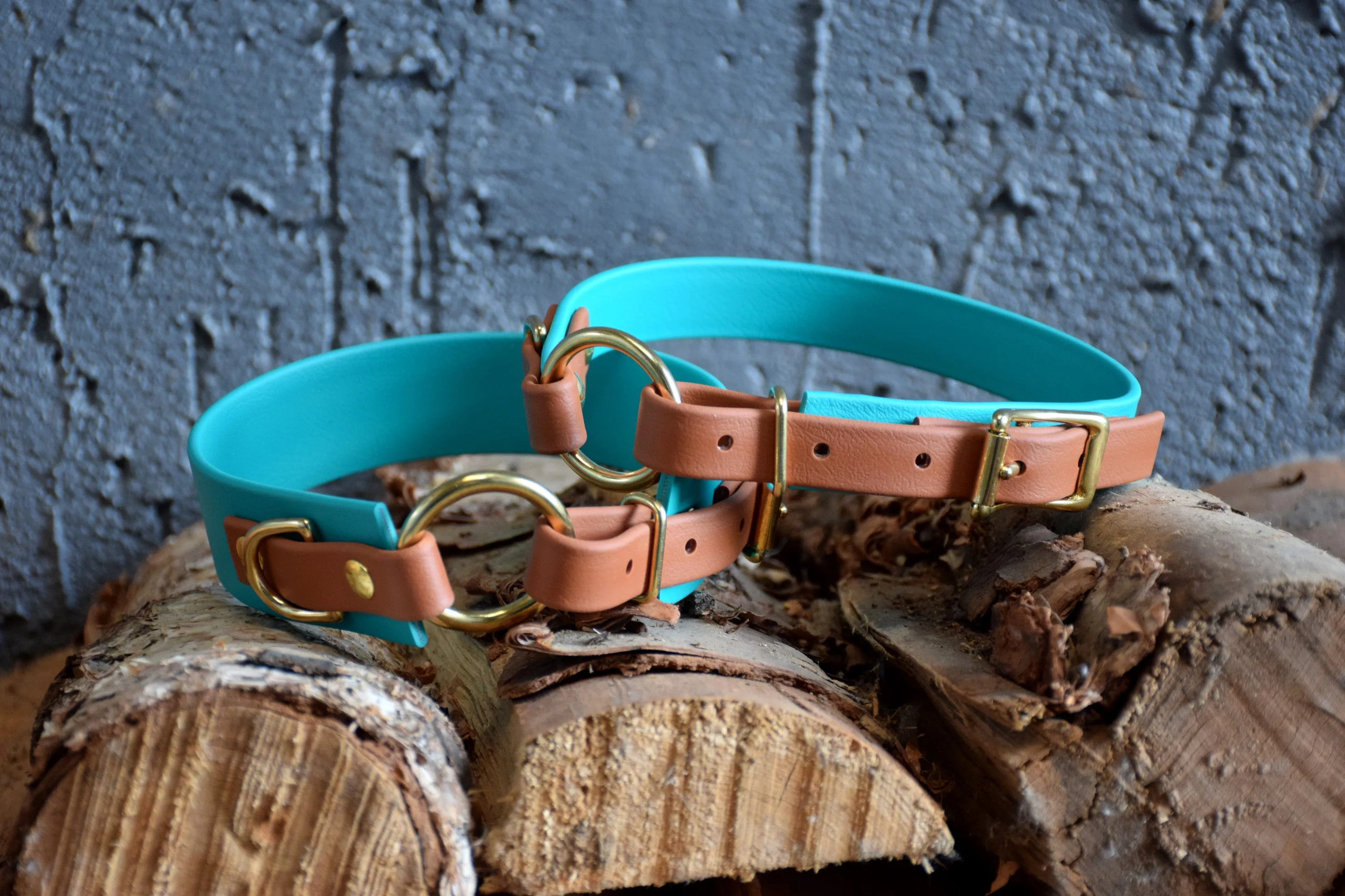 PREMADE COLLECTION - Teal & Tan with Brass, Osgiliath Biothane Dog Collar