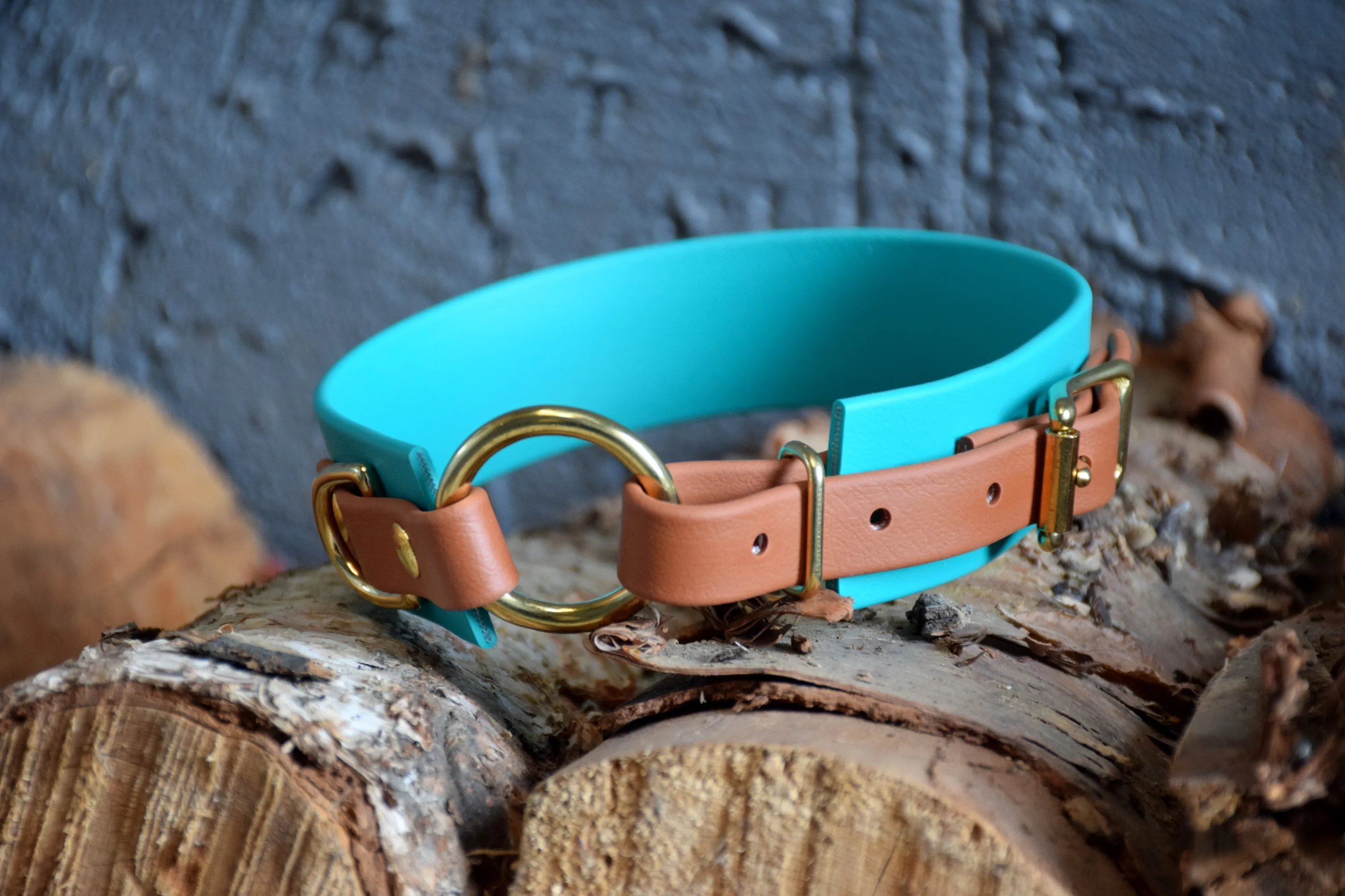 PREMADE COLLECTION - Teal & Tan with Brass, Osgiliath Biothane Dog Collar