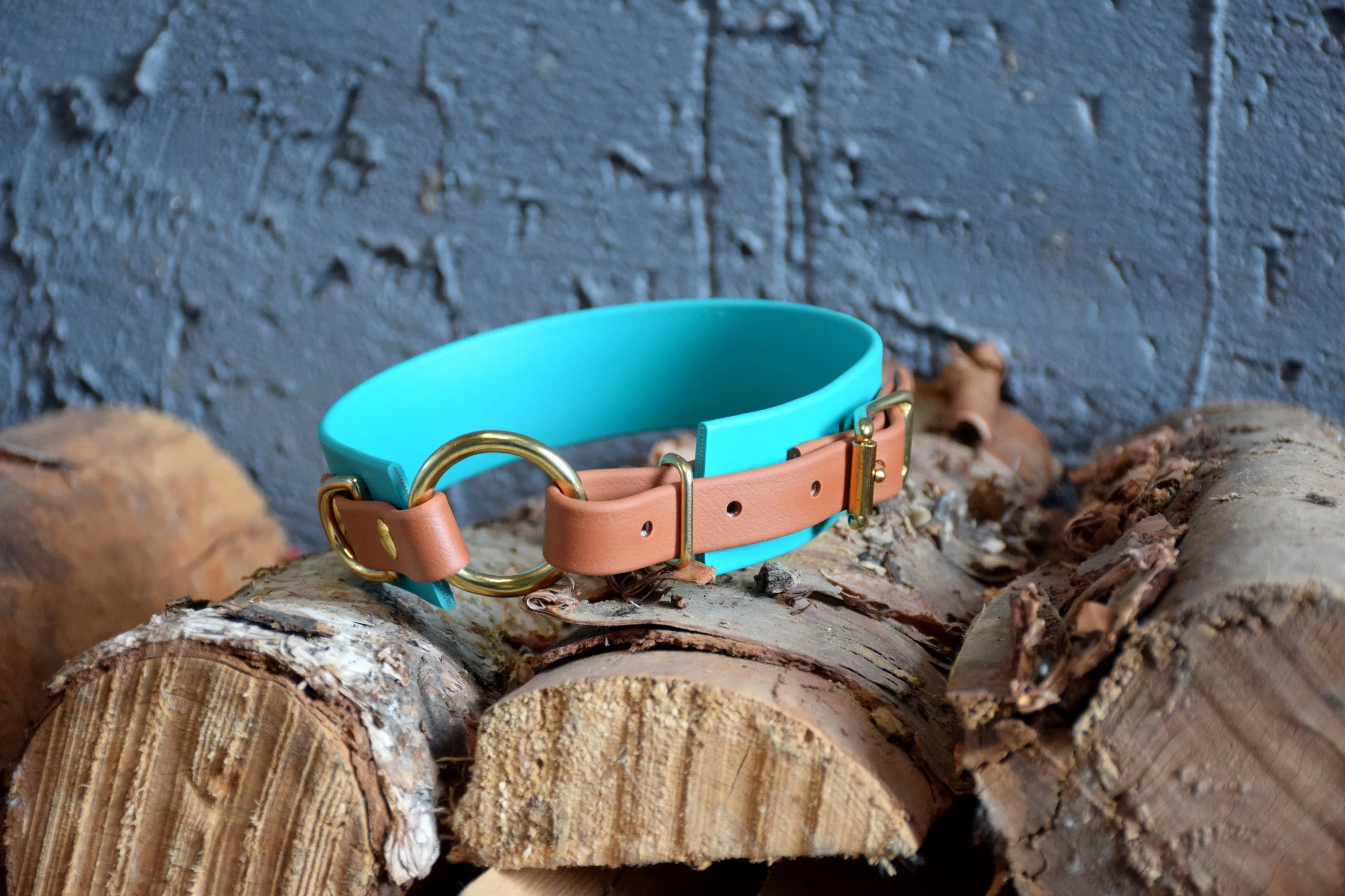 PREMADE COLLECTION - Teal & Tan with Brass, Osgiliath Biothane Dog Collar