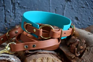 PREMADE COLLECTION - Teal & Tan with Brass, Osgiliath Biothane Dog Collar