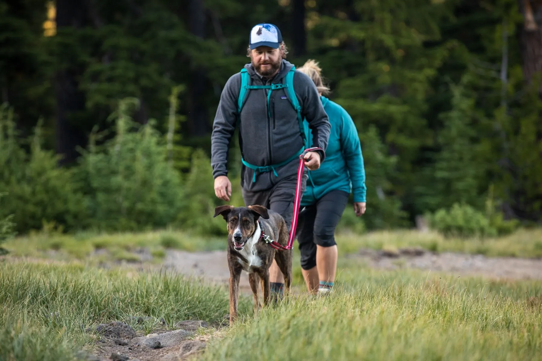 Ruffwear: Crag Reflective Dog Collar